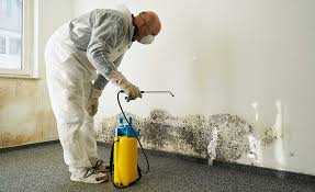 Biohazard Mold Removal in Twin Lakes, CA